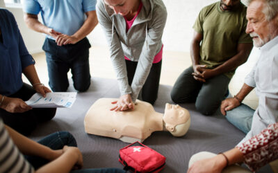 Formation DAE / DSA à Bordeaux : Devenez Expert en Assistance à l’Étranger